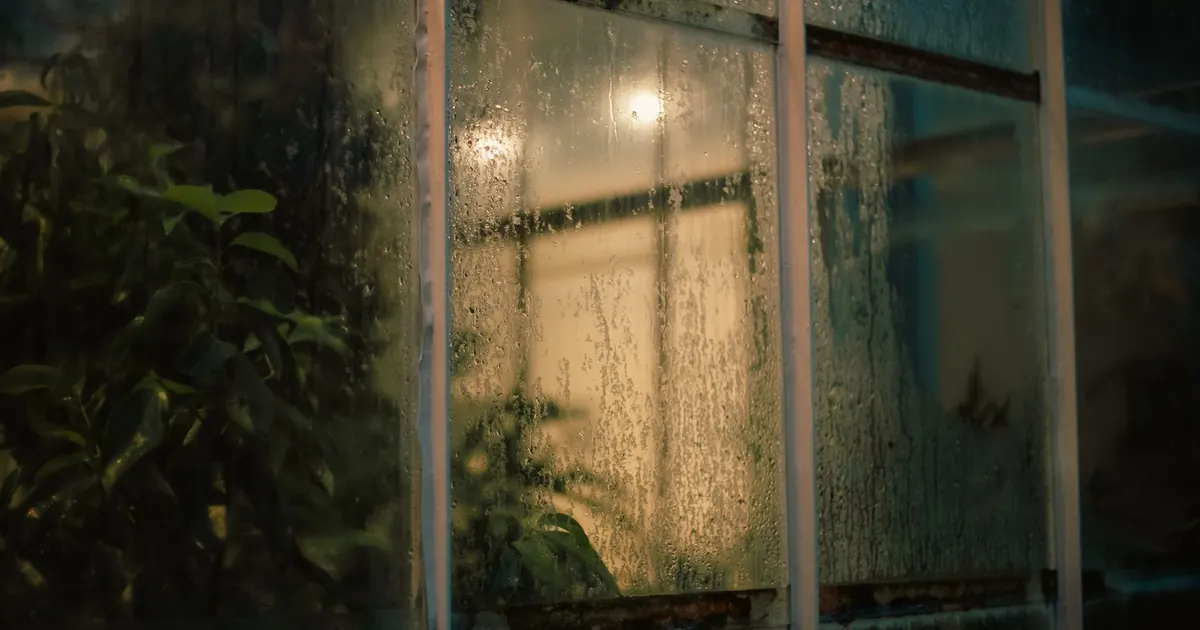 Gouttes de condensation sur une vitre